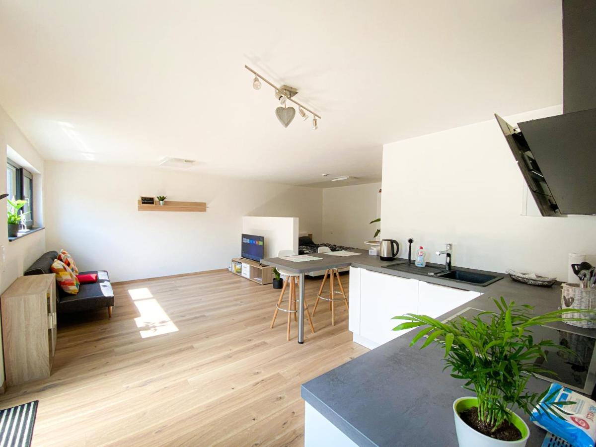 Ferienwohnung Vergissmeinnicht 哥根巴赫 外观 照片